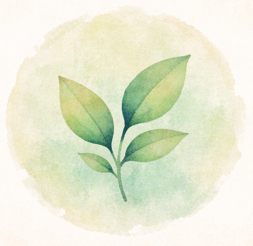 EBAT - Approche experientielle